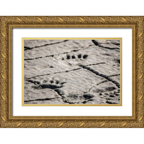 Lake Clark National Park and Preserve-Cook Inlet-Kenai Peninsula-Alaska-animal-footprints-mudflat Gold Ornate Wood Framed Art Print with Double Matting by Sienda, Jolly