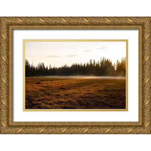 Homer-Alaska-Kenai Peninsula Gold Ornate Wood Framed Art Print with Double Matting by Sienda, Jolly