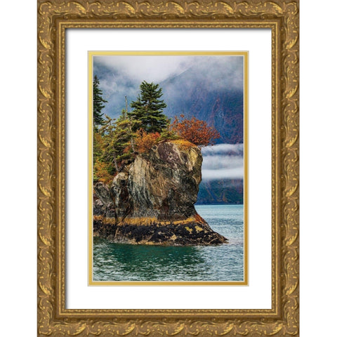 Prince William Sound-Alaska-Valdez-island-autumn-color-evergreen-fog Gold Ornate Wood Framed Art Print with Double Matting by Sienda, Jolly