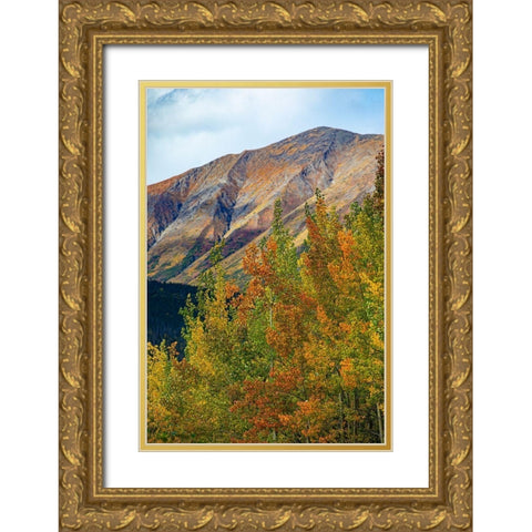 Richardson Highway-Alaska-autumn color-birch-aspens-mountains-Permafrost Gold Ornate Wood Framed Art Print with Double Matting by Sienda, Jolly