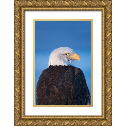 Bald Eagle-Homer-Alaska-USA Gold Ornate Wood Framed Art Print with Double Matting by Su, Keren