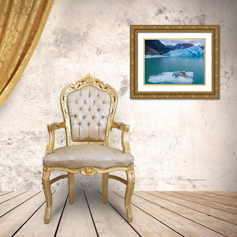 Alaska-Leconte Bay-Aerial view of Harbor Seal and pup resting on iceberg calved from LeConte Glacier Gold Ornate Wood Framed Art Print with Double Matting by Souders, Paul