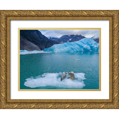 Alaska-Leconte Bay-Aerial view of Harbor Seal and pup resting on iceberg calved from LeConte Glacier Gold Ornate Wood Framed Art Print with Double Matting by Souders, Paul