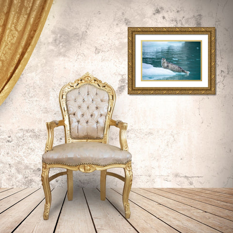 Alaska-Leconte Bay-Harbor Seal pup resting on iceberg calved from LeConte Glacier east of Petersburg Gold Ornate Wood Framed Art Print with Double Matting by Souders, Paul