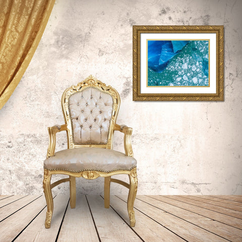 Alaska shattered icebergs floating near calving face of LeConte Glacier east of Petersburg Gold Ornate Wood Framed Art Print with Double Matting by Souders, Paul