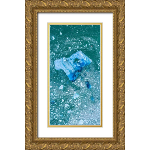 Alaska shattered icebergs floating near calving face of LeConte Glacier east of Petersburg Gold Ornate Wood Framed Art Print with Double Matting by Souders, Paul