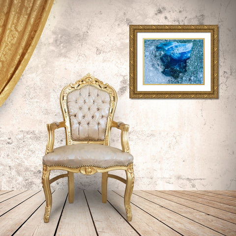 Alaska shattered icebergs floating near calving face of LeConte Glacier east of Petersburg Gold Ornate Wood Framed Art Print with Double Matting by Souders, Paul