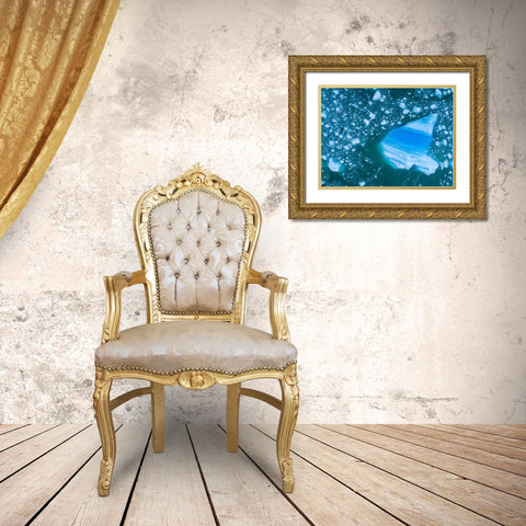 Alaska shattered icebergs floating near calving face of LeConte Glacier east of Petersburg Gold Ornate Wood Framed Art Print with Double Matting by Souders, Paul