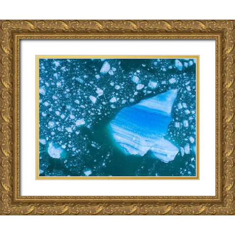 Alaska shattered icebergs floating near calving face of LeConte Glacier east of Petersburg Gold Ornate Wood Framed Art Print with Double Matting by Souders, Paul