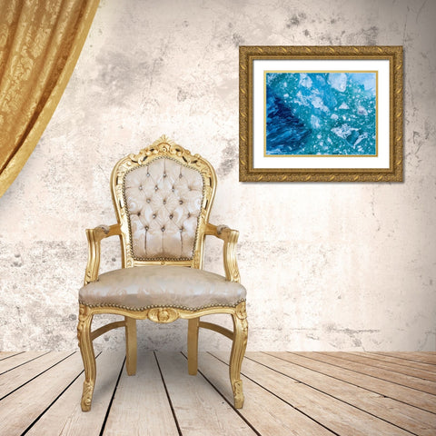 Alaska shattered icebergs floating near calving face of LeConte Glacier east of Petersburg Gold Ornate Wood Framed Art Print with Double Matting by Souders, Paul