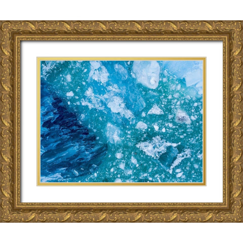 Alaska shattered icebergs floating near calving face of LeConte Glacier east of Petersburg Gold Ornate Wood Framed Art Print with Double Matting by Souders, Paul