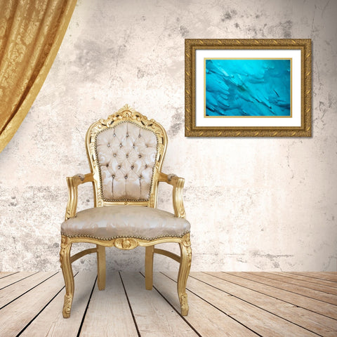 Alaska-Tracy Arm-Fords Terror Wilderness-Close-up of blue iceberg calved from Dawes Glacier Gold Ornate Wood Framed Art Print with Double Matting by Souders, Paul