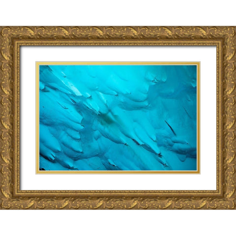 Alaska-Tracy Arm-Fords Terror Wilderness-Close-up of blue iceberg calved from Dawes Glacier Gold Ornate Wood Framed Art Print with Double Matting by Souders, Paul