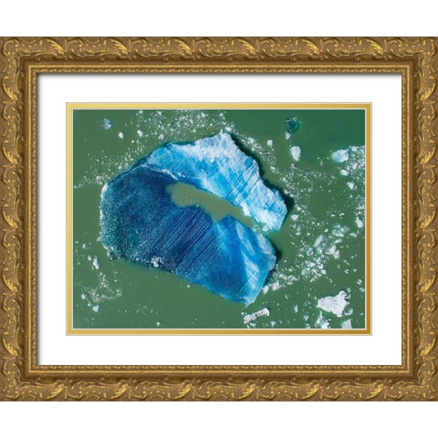 Alaska-Tracy Arm-Aerial view of floating iceberg calved from South Sawyer Glacier in Tracy Arm Gold Ornate Wood Framed Art Print with Double Matting by Souders, Paul