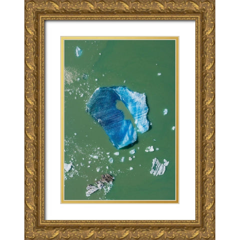 Alaska-Tracy Arm-Aerial view of floating iceberg calved from South Sawyer Glacier in Tracy Arm Gold Ornate Wood Framed Art Print with Double Matting by Souders, Paul