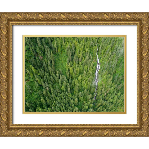 Alaska-Juneau-Taku Harbor State Marine Park-waterfall on mountainside in coastal rainforest Gold Ornate Wood Framed Art Print with Double Matting by Souders, Paul