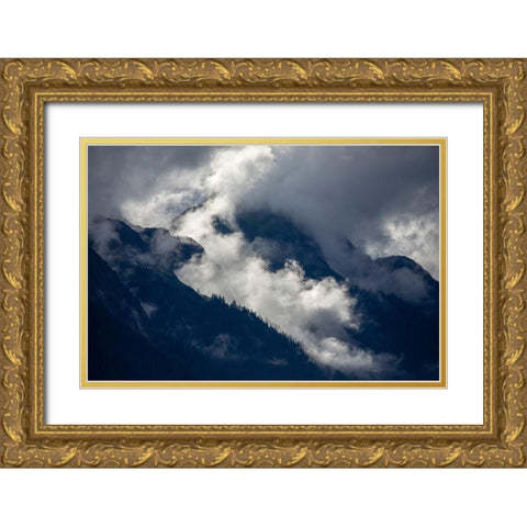 Alaska-Tracy Arm-Fords Terror Wilderness-Morning sun lights mist swirling in mountains Gold Ornate Wood Framed Art Print with Double Matting by Souders, Paul