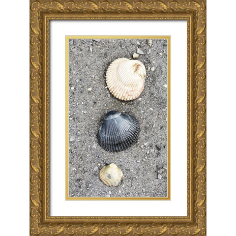 Alaska-Ketchikan-cockle shells on beach Gold Ornate Wood Framed Art Print with Double Matting by PLank, Savanah