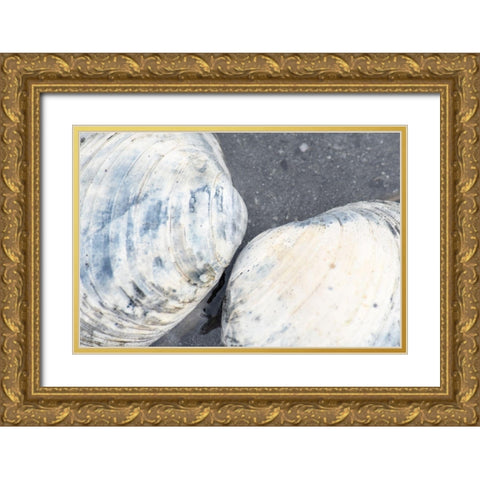 Alaska-Ketchikan-clam shells on beach Gold Ornate Wood Framed Art Print with Double Matting by PLank, Savanah