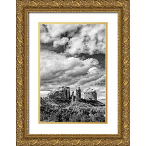 Arizona-Sedona-Cathedral Rock Gold Ornate Wood Framed Art Print with Double Matting by Collins, Ann