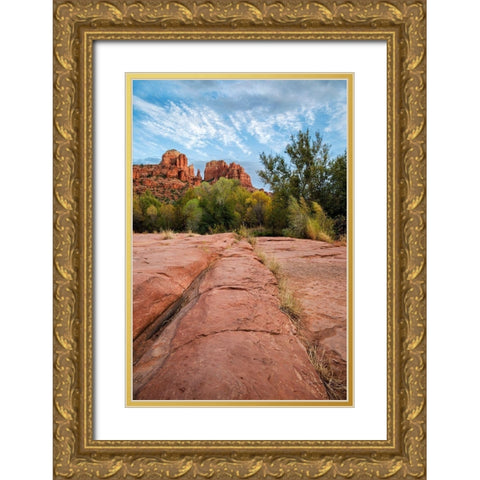 Arizona-Sedona-Red Rock State Park-Cathedral Rock Gold Ornate Wood Framed Art Print with Double Matting by Collins, Ann