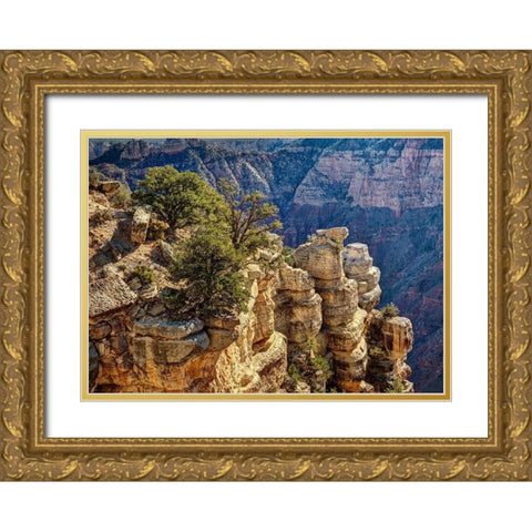 Arizona-Grand Canyon National Park-Rocks and trees at Grandview Point Gold Ornate Wood Framed Art Print with Double Matting by Collins, Ann