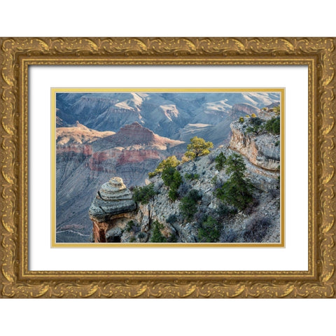 Arizona-Grand Canyon National Park-View from Yaki Point at sunrise Gold Ornate Wood Framed Art Print with Double Matting by Collins, Ann