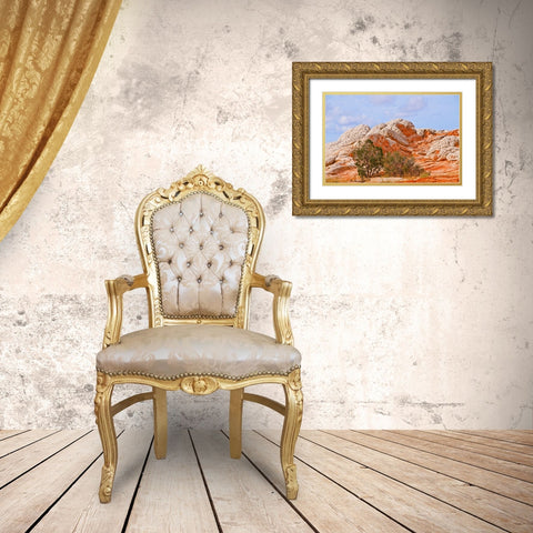 USA-Arizona-Vermilion Cliffs National Monument White Pocket Gold Ornate Wood Framed Art Print with Double Matting by Friel, Bernard