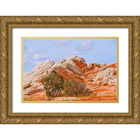 USA-Arizona-Vermilion Cliffs National Monument White Pocket Gold Ornate Wood Framed Art Print with Double Matting by Friel, Bernard