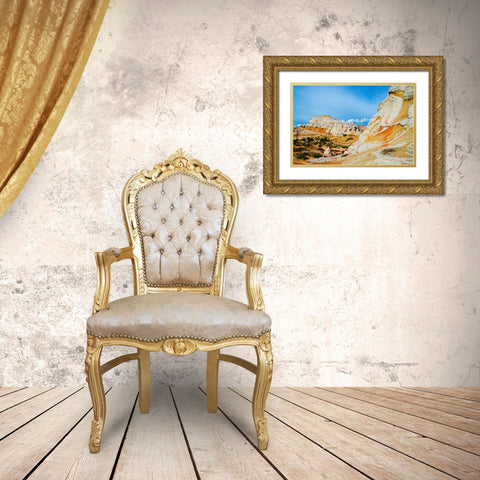USA-Arizona-Vermilion Cliffs National Monument White Pocket Gold Ornate Wood Framed Art Print with Double Matting by Friel, Bernard