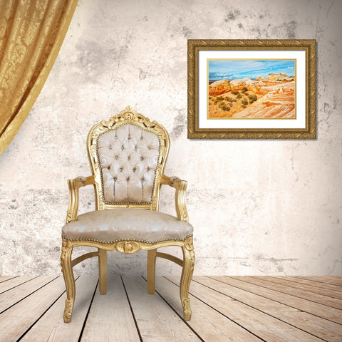 USA-Arizona-Vermilion Cliffs National Monument White Pocket Gold Ornate Wood Framed Art Print with Double Matting by Friel, Bernard