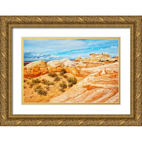USA-Arizona-Vermilion Cliffs National Monument White Pocket Gold Ornate Wood Framed Art Print with Double Matting by Friel, Bernard