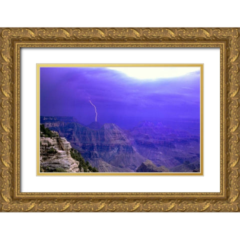 AZ, Grand Canyon, Lightning storm over the canyon Gold Ornate Wood Framed Art Print with Double Matting by Welling, Dave