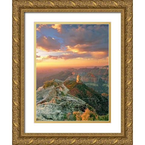 AZ, Grand Canyon, Point Imperial at sunrise Gold Ornate Wood Framed Art Print with Double Matting by Welling, Dave