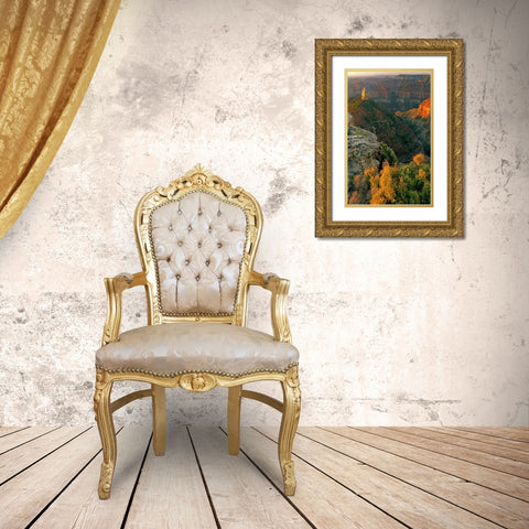 AZ, Grand Canyon, Sunrise at Point Imperial Gold Ornate Wood Framed Art Print with Double Matting by Welling, Dave