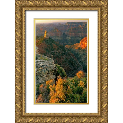 AZ, Grand Canyon, Sunrise at Point Imperial Gold Ornate Wood Framed Art Print with Double Matting by Welling, Dave