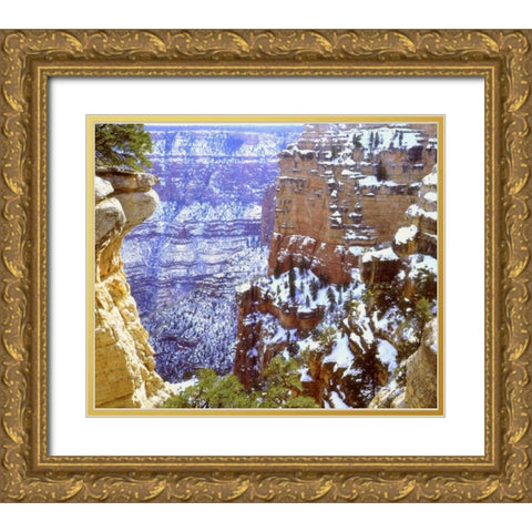 AZ, Grand Canyon, Winter snow on rock formations Gold Ornate Wood Framed Art Print with Double Matting by Talbot Frank, Christopher