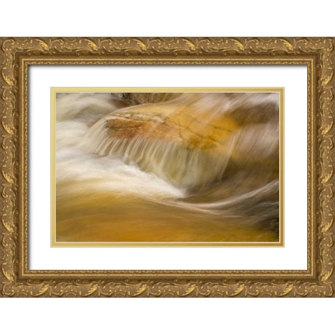 AZ, Tucson, Flowing water in the Romero Pools Gold Ornate Wood Framed Art Print with Double Matting by Paulson, Don