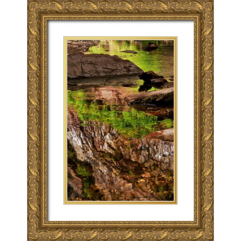 AZ, Sedona, Verdee Valley Spring reflections Gold Ornate Wood Framed Art Print with Double Matting by OBrien, Jay