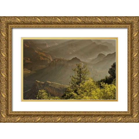 AZ, Grand Canyon, God rays over rock formations Gold Ornate Wood Framed Art Print with Double Matting by OBrien, Jay