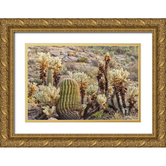Perspective Image