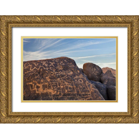 AZ, Gila Bend Petroglyphs on boulders Gold Ornate Wood Framed Art Print with Double Matting by Paulson, Don