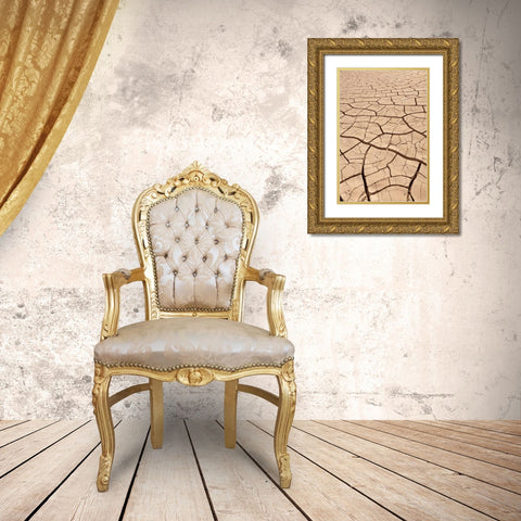 Arizona, Gila Bend Dried river- bottom mud Gold Ornate Wood Framed Art Print with Double Matting by Paulson, Don