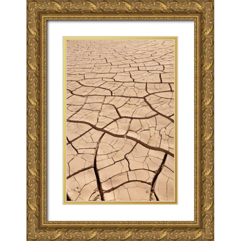 Arizona, Gila Bend Dried river- bottom mud Gold Ornate Wood Framed Art Print with Double Matting by Paulson, Don