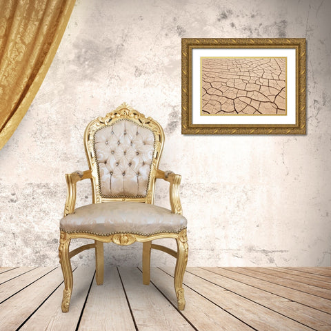 Arizona, Gila Bend Dried river- bottom mud Gold Ornate Wood Framed Art Print with Double Matting by Paulson, Don