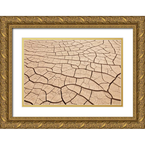 Arizona, Gila Bend Dried river- bottom mud Gold Ornate Wood Framed Art Print with Double Matting by Paulson, Don