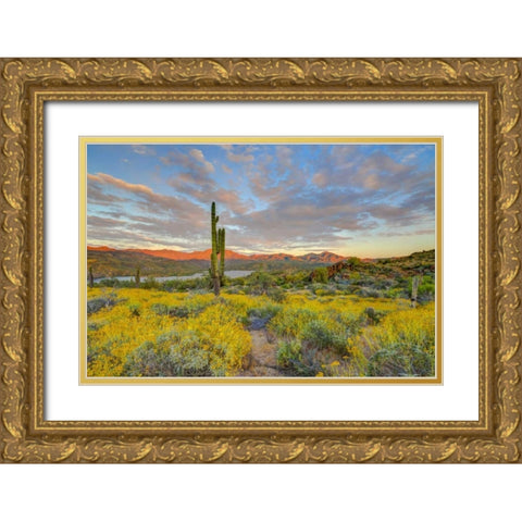 AZ, Lake Bartlett Sunset on desert landscape Gold Ornate Wood Framed Art Print with Double Matting by Lord, Fred