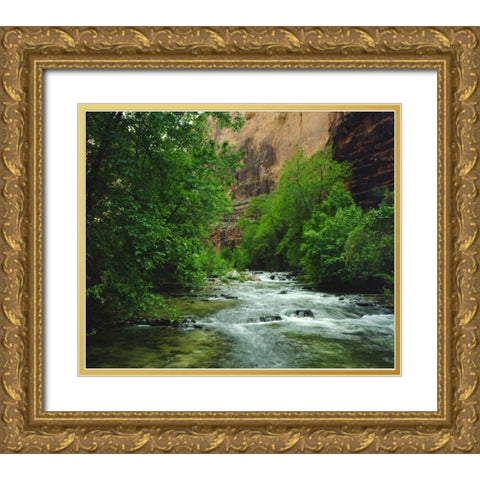 AZ, Havasupai Havasu Creek in the Grand Canyon Gold Ornate Wood Framed Art Print with Double Matting by Talbot Frank, Christopher