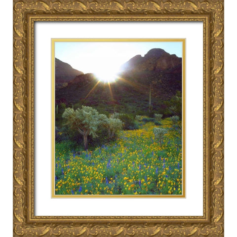 AZ, Organ Pipe Cactus NM Flowers and cacti Gold Ornate Wood Framed Art Print with Double Matting by Talbot Frank, Christopher