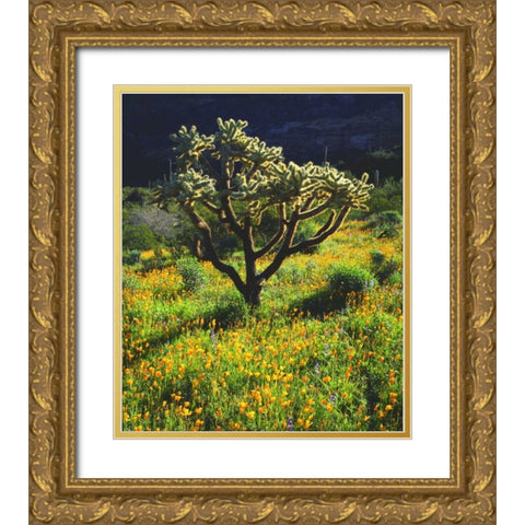 Arizona, Organ Pipe Cactus NM flowers and cacti Gold Ornate Wood Framed Art Print with Double Matting by Talbot Frank, Christopher
